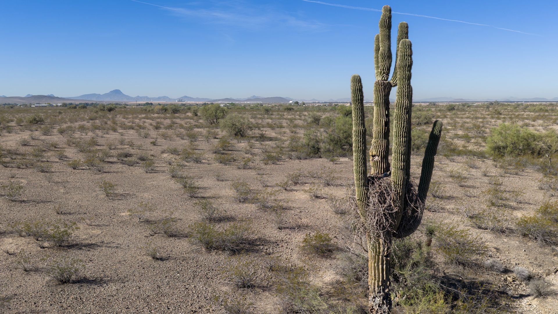 US suffers hottest March day ever recorded